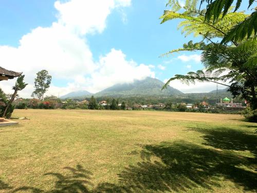a field of grass with mountains in the background at Bedugul Lake View Residence Unit A-1 in Bedugul