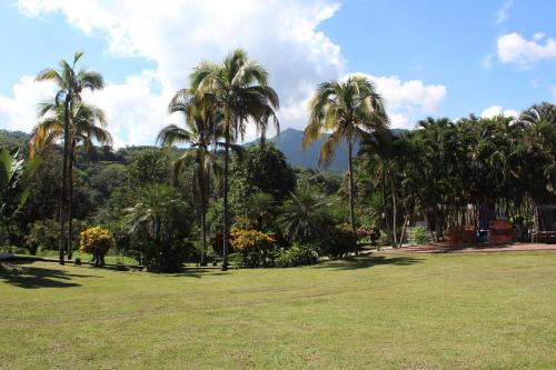a park with palm trees and mountains in the background at ATENEA SPA Hotel in Villeta