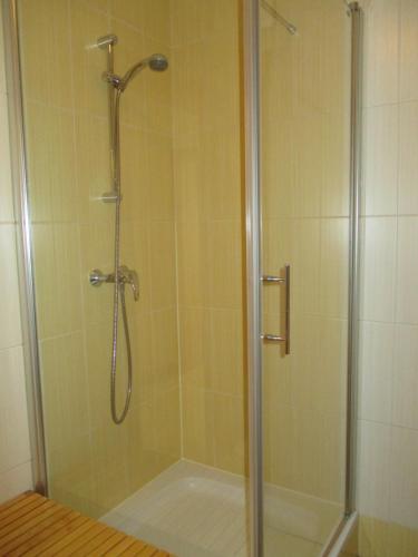 La salle de bains est pourvue d'une douche avec une porte en verre. dans l'établissement Appartement Alexandra, à Flattach