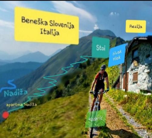 a person riding a bike down a hill at Apartma NADIŽA Borjana107 in Borjana