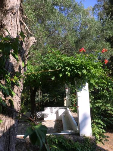 a white bench with flowers on it next to a tree at Alexandra villas in Gouvia