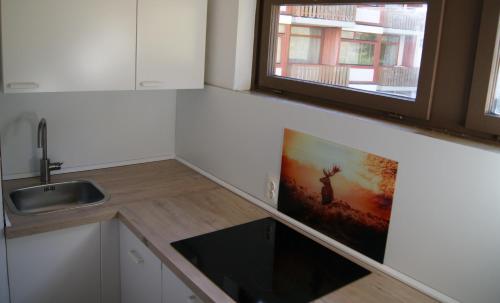 a kitchen with a sink and a picture on the counter at Ferienwohnung Schwarzwaldlust in Schluchsee