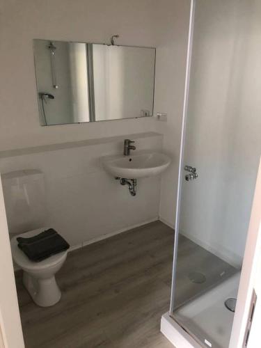 La salle de bains est pourvue de toilettes, d'un lavabo et d'un miroir. dans l'établissement Zimmer 5, à Alzenau
