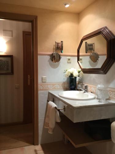 un baño con lavabo y espejo en LA COMA DE ALBA -NUEVO-, en Benasque