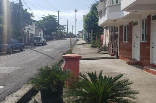 a red fire hydrant on the side of a street at Unit 3 Private Apartment - Roseau in Roseau