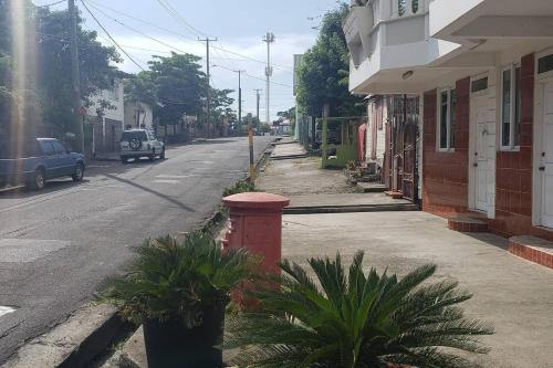 a red fire hydrant on the side of a street at Unit 4 Private Apartment - Roseau in Roseau