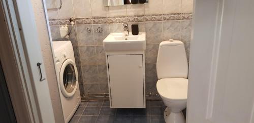 małą łazienkę z toaletą i umywalką w obiekcie 1800-tals torp i landsbygd nära till allt w mieście Värnamo
