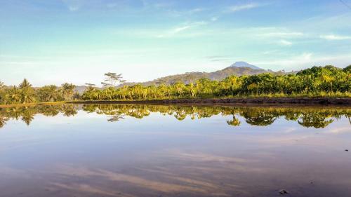 a body of water with a mountain in the background at Genthong Homestay in Borobudur