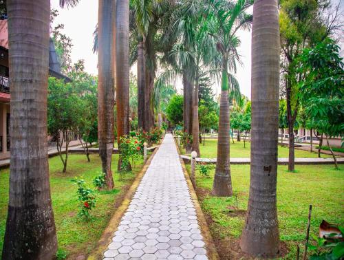 a path through a park with palm trees at Chitwan Riverside Resort in Sauraha