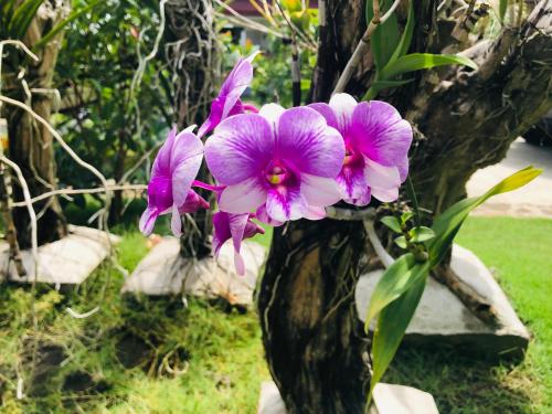 a vase filled with purple flowers next to a tree at Tongatok Cliff Resort in Mambajao