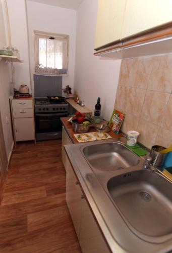 a kitchen with a sink and a stove at Apartman Branka in Ližnjan