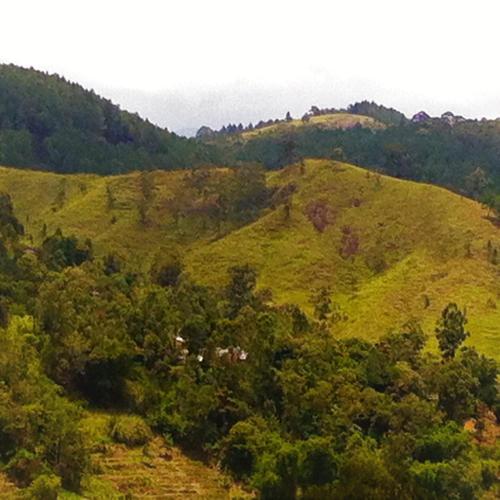 Paisaje cerca de este bed & breakfast