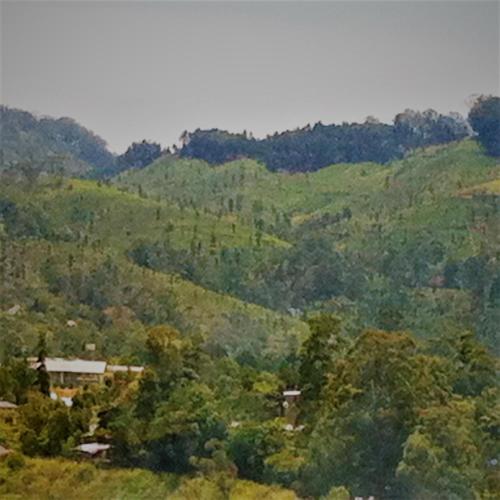 Paisaje cerca de este bed & breakfast