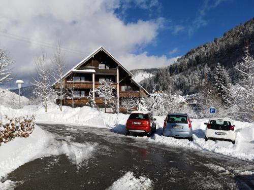 tres autos estacionados en la nieve frente a una cabaña en B3 Albmatte-FEWO Sauna, Hallenbad Außenbecken Massagen nebenan, en Menzenschwand