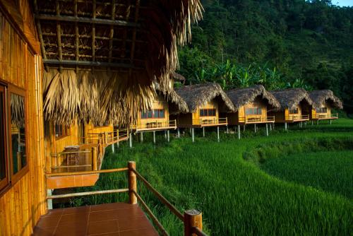 a row of houses with thatched roofs on a field of grass at Hoang Su Phi Lodge in Ha Giang