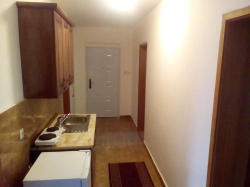 a kitchen with a sink and a counter top at Sobe Nevenka in Vrnjačka Banja