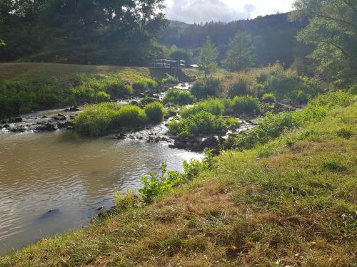 a river with a bridge in the middle of a field at Wohnen im Springerhof in Lohr