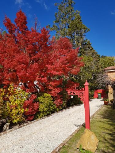 Winston Cottage at Three Sisters – Photos 3