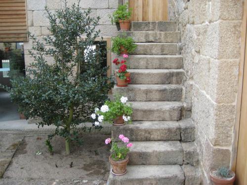 a set of stairs with potted plants and flowers at Casa Rural Vilaboa in Allariz
