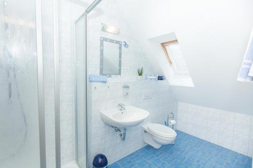 een badkamer met een toilet, een wastafel en een douche bij Steigerwaldpension in Wiesentheid