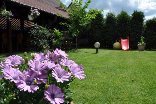 a bunch of purple flowers in a yard at Vila House Family in Poprad
