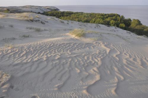 a beach with ripples in the sand at Vila Baldininkas in Neringa