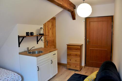 a kitchen with a sink and a counter top at Leśne Apartamenty in Zieleniec