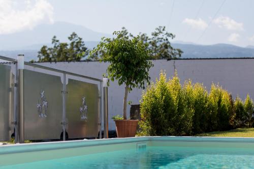 a swimming pool in a yard with a fence and trees at Veda elegant rooms in Fiumefreddo di Sicilia