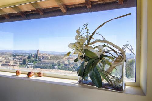 un jarrón lleno de flores sentado en el alféizar de la ventana en Rinidia - Siena Centro, en Siena