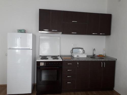a kitchen with black cabinets and a white refrigerator at Ristevski Apartment in Bitola