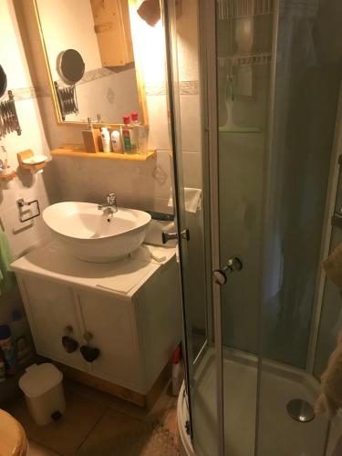 une salle de bain avec un lavabo et une douche dans l'établissement Le Croisse Baulet, à La Giettaz