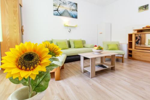 Apartment Green Forest