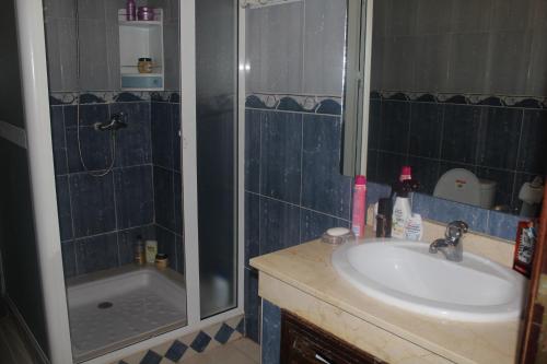 a bathroom with a sink and a shower at Les jardins de l'Atlantique A in Mohammedia