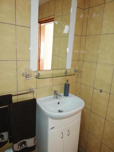 a bathroom with a sink and a mirror at Rustic Rooms in Râşnov