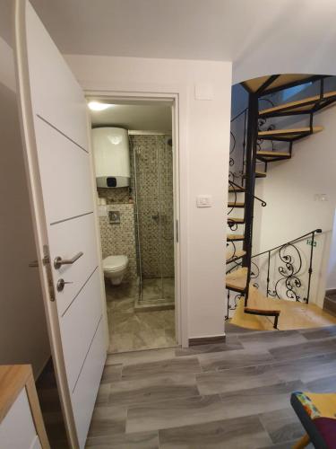 a bathroom with a shower and a toilet in a room at Kuća Lukin in Betina