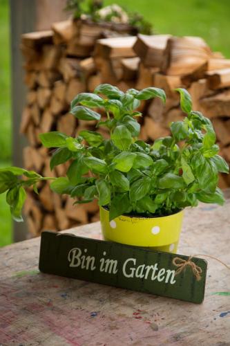 Gartenstudio Waldblick