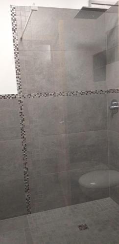 a shower with a glass door in a bathroom at La Stella delle Alpi in Vico Canavese