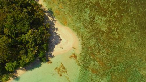 an overhead view of a river with trees and water at Lilan Nature, Modern House N°2, private swimming pool in Cahuita