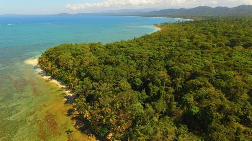 an aerial view of a forested beach next to the ocean at Lilan Nature, Modern House N°2, private swimming pool in Cahuita