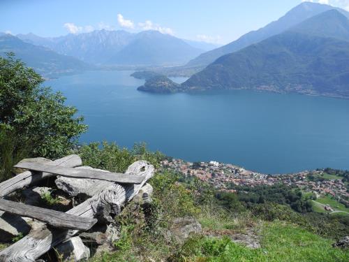 a bench sitting on top of a hill overlooking a lake at Agriturismo Piccolo paradiso in Pianello Del Lario