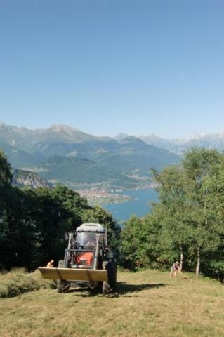 a tractor is parked on a grass field at Agriturismo Piccolo paradiso in Pianello Del Lario