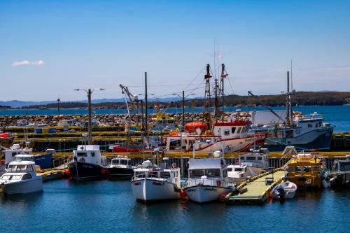 a bunch of boats docked in a harbor at The Killick Inn & Suites in Arnold's Cove