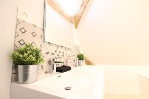 een badkamer met een witte wastafel en een spiegel bij Colmar Historic Center - BELLE ALSACE 5 - 4 étoiles in Colmar