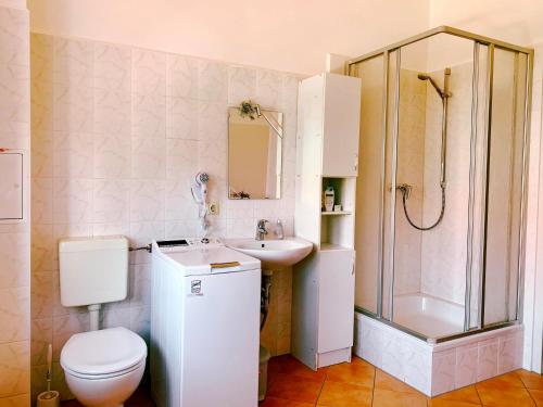e bagno con servizi igienici, lavandino e doccia. di Traditionsgasthaus Goldener Löwe Riesa Restaurant & Pension a Riesa