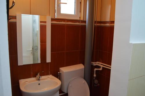 een badkamer met een toilet en een wastafel bij Pensiunea Florian in Tulcea