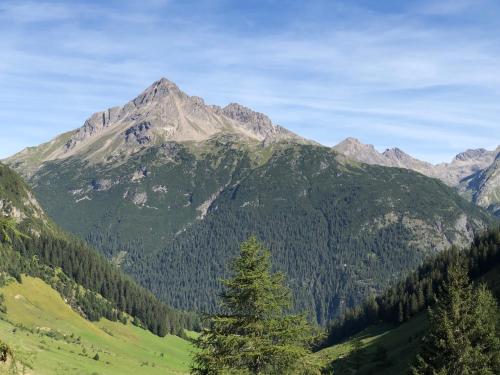 a mountain range with a pine tree in the foreground at Landhaus Moosbrugger in Steeg