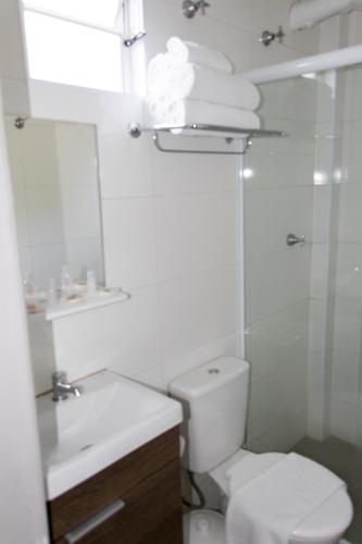 a bathroom with a toilet and a sink and a mirror at Pousada Du Valle in Embu