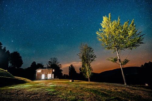 a house on a hill at night with a tree at Domki 4 Nad Ranem - Baza Bieszczady Smerek in Smerek