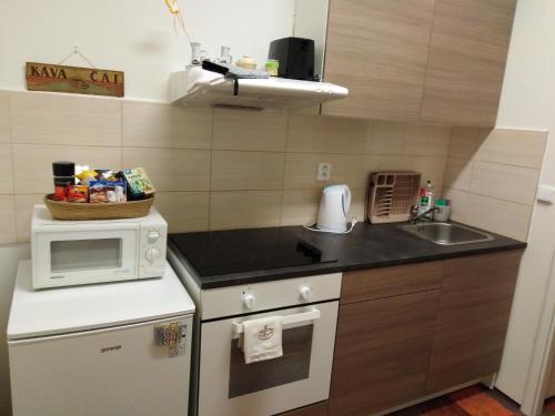 Kuchyň nebo kuchyňský kout v ubytování Studio Husitská 114/74