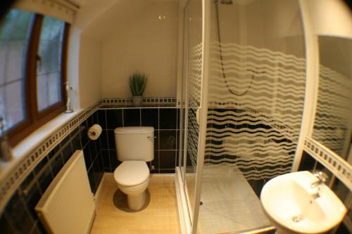 a bathroom with a toilet and a shower and a sink at Hooters Apartment EV Point in Wadebridge